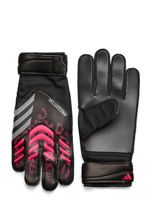 adidas Performance | Pred Gl Trn | 10.5