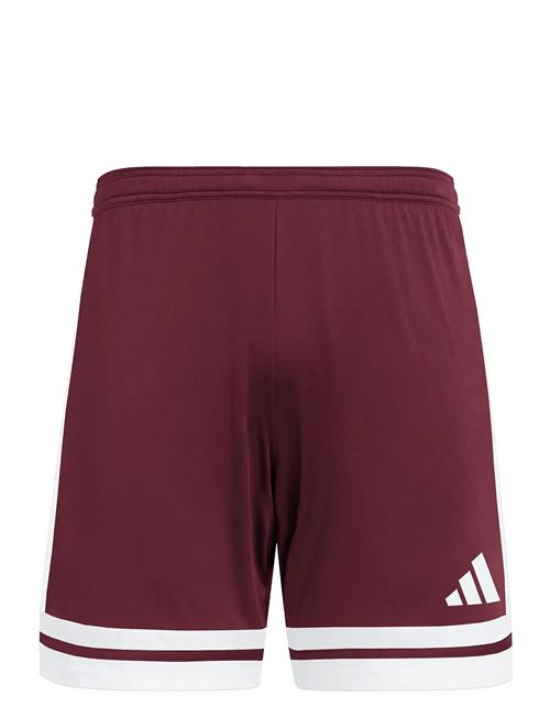 adidas Performance | Squa25 Sho M | S