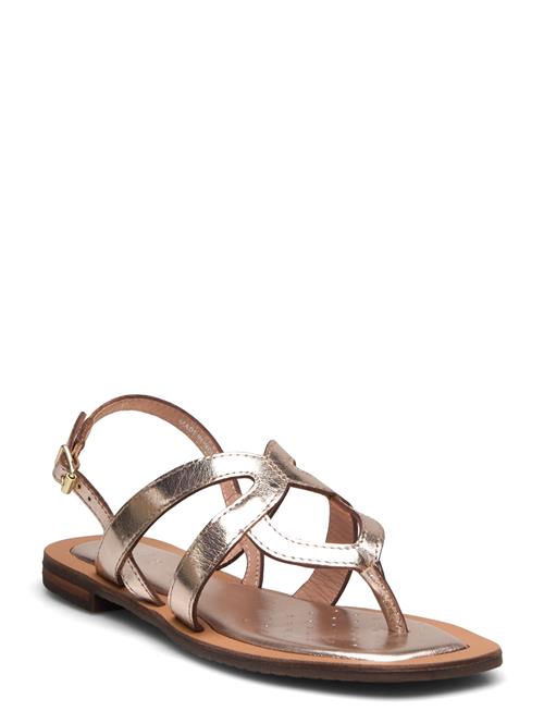 GEOX | D Sozy Qc C | 37