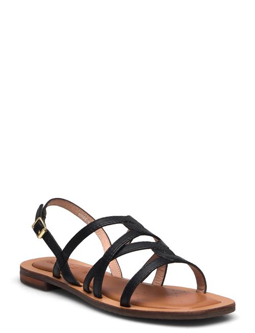 GEOX | D Sozy Qc A | 37