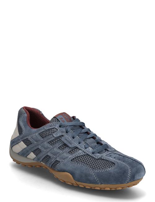 GEOX | U Snake Original A | 43