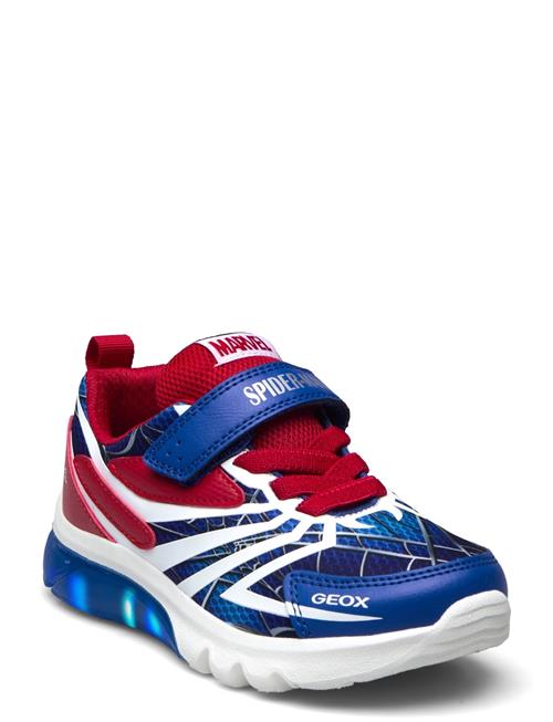 GEOX | J Ciberdron Boy H | 36