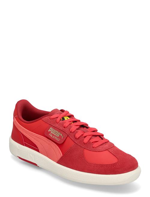 PUMA Motorsport | Ferrari Palermo | 41