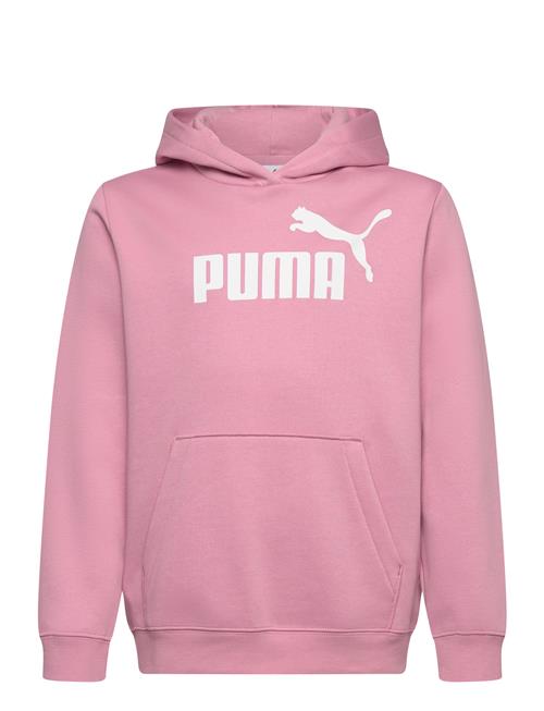 PUMA | Ess No. 1 Logo Hoodie Fl G | 164