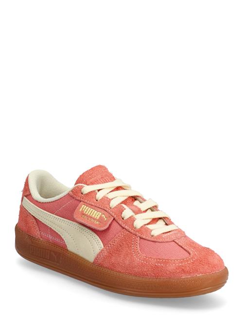 PUMA | Palermo Vintage | 41