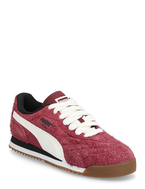 PUMA | Roma Anniversario Suede | 39