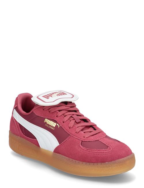 PUMA | Palermo Moda Tongue Wns | 35.5