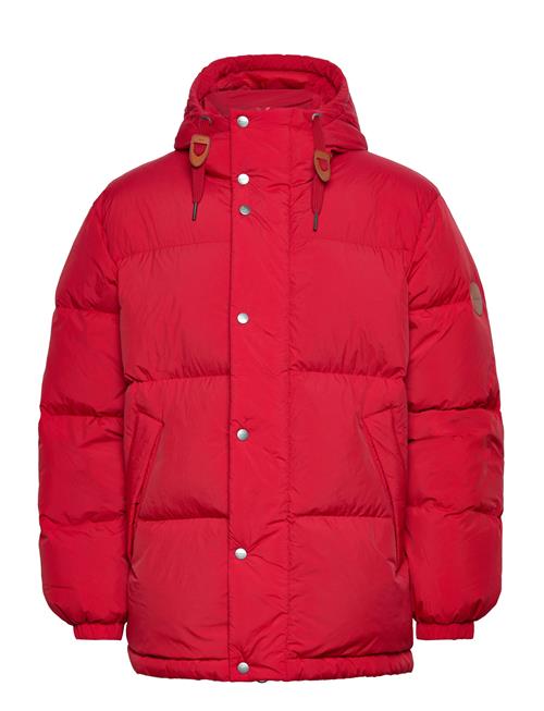 GANT | Winter Down Puffer | M