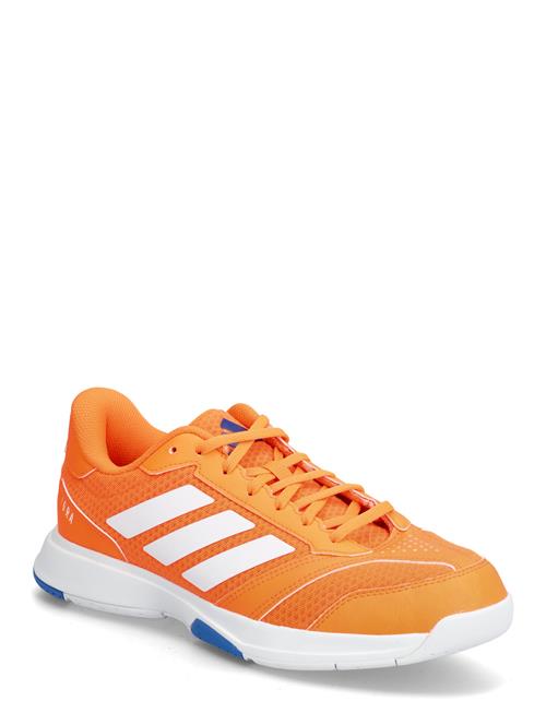 adidas Performance | Ligra 8 M | 41 1/3
