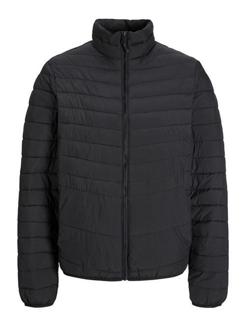 Jack & Jones | Jjestate Packable Puffer Collar Noos | S