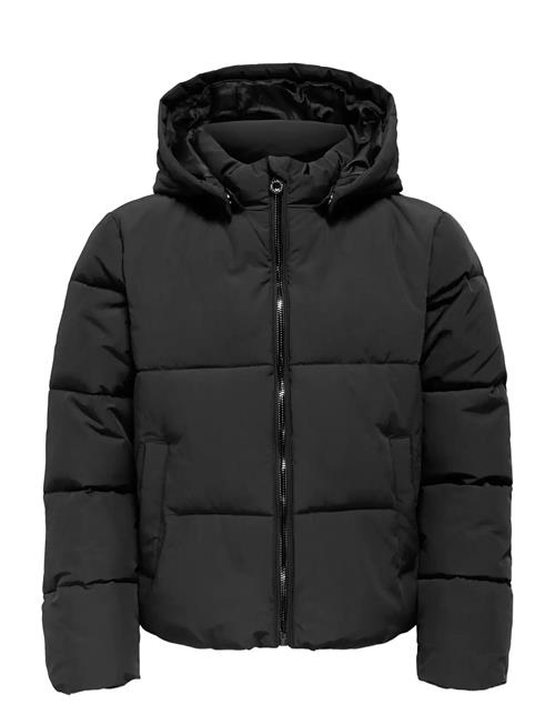 Kids Only | Kogdolly Life Sht Puffer Jacket Otw Noos | 164