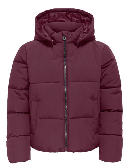 Kids Only | Kogdolly Life Sht Puffer Jacket Otw Noos | 158