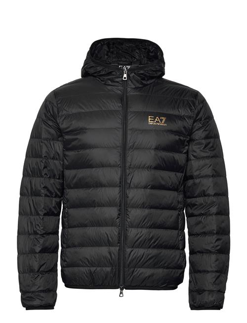 EA7 | Down Jacket | XXL
