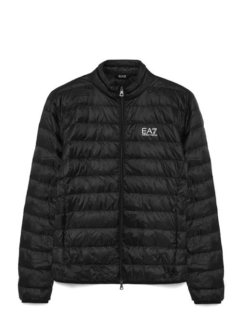 EA7 | Down Jacket | XXL