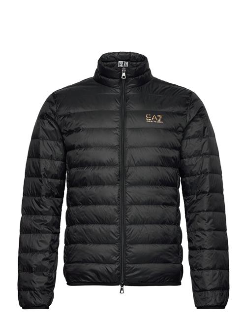 EA7 | Down Jacket | XXXL