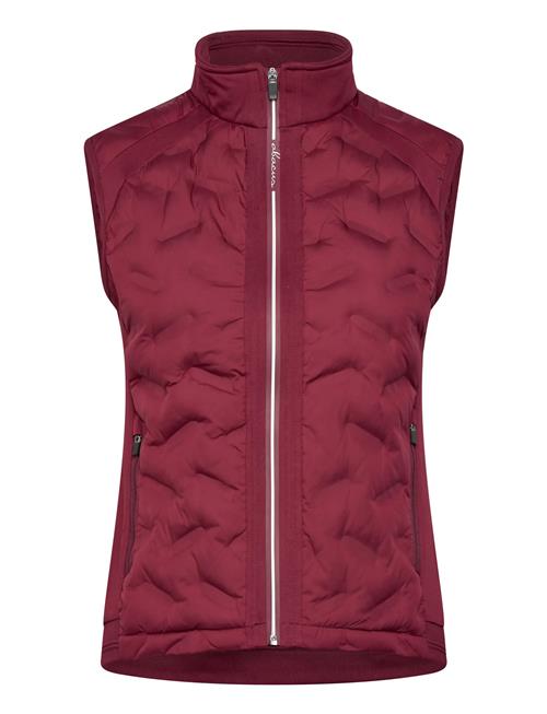 Abacus | Lds Portrush Hybrid Vest | M