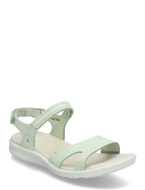 ECCO | Cruise Ii | 42