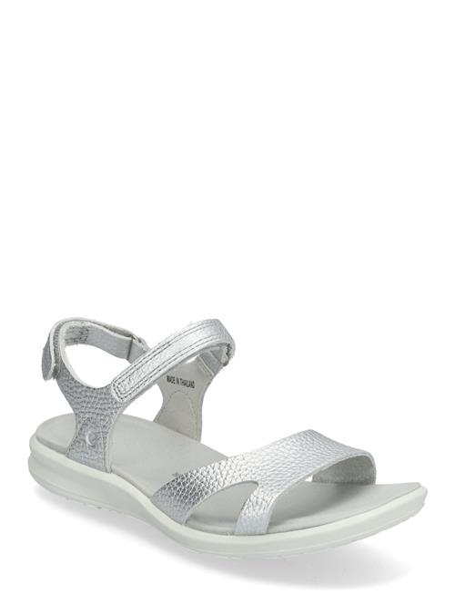 ECCO | Cruise Ii | 43