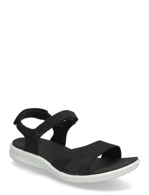 ECCO | Cruise Ii | 42