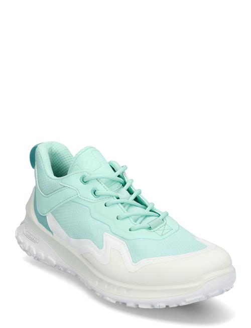 ECCO | Ult-Trn W | 36