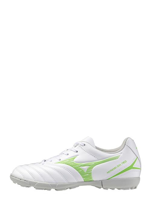 Mizuno | Monarcida Neo Iii Sct Jr As(C) | 36.5