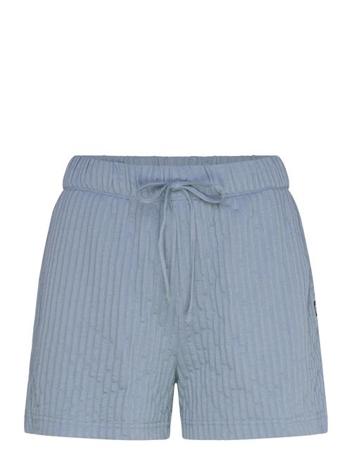 VANS | Bedford Knit Short | L