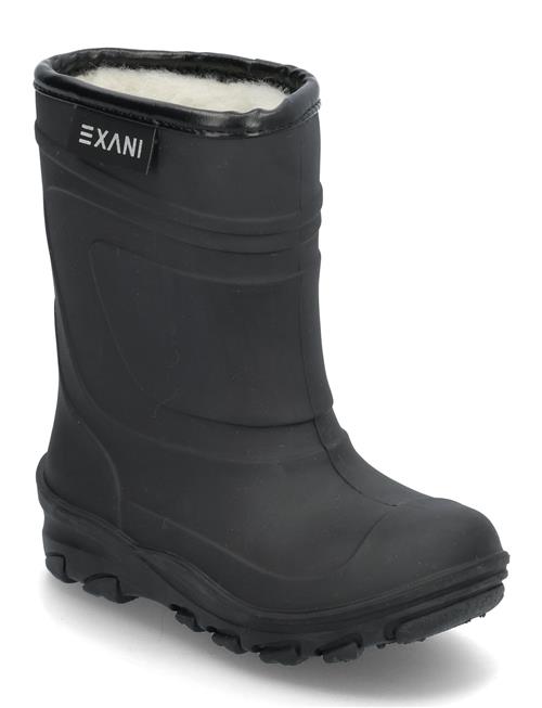 Exani | Ted K | 26-16.9CM