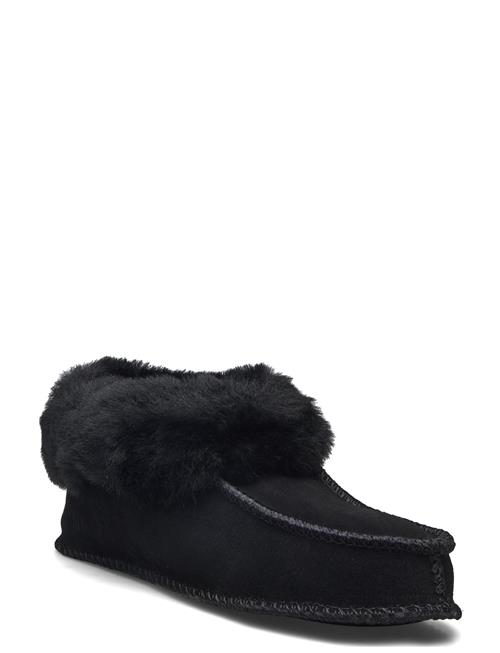 Exani | Solex Jr | 33-21.8CM