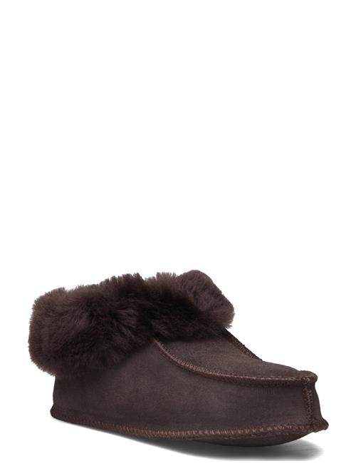 Exani | Solex Jr | 31-20.2CM