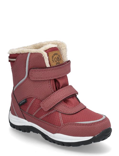 Exani | Cober Jr | 31-20.2CM