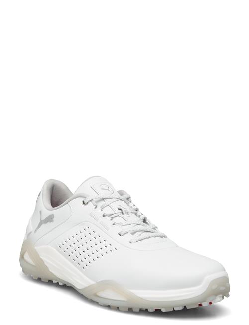 PUMA Golf | Shadowcat Nitro Leather | 44
