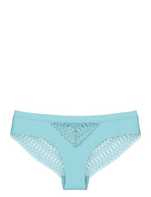 Triumph | Aura Spotlight T Brazilian | 42