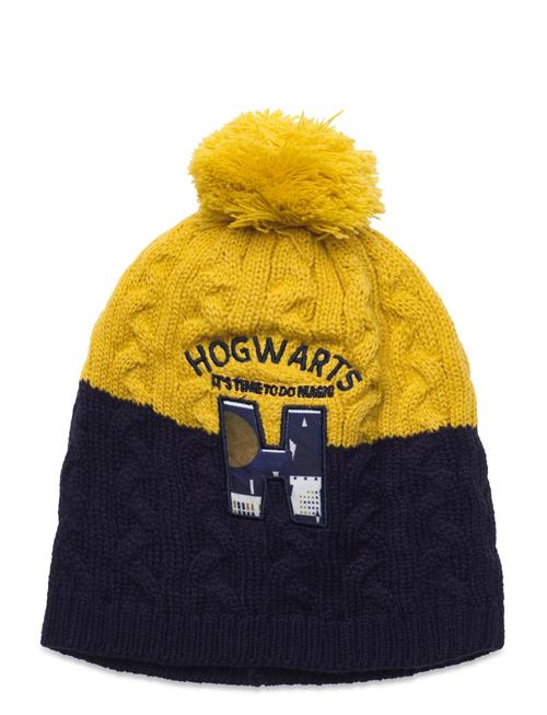 Harry Potter | Bonnet/Peruvien/Cagoule | 54