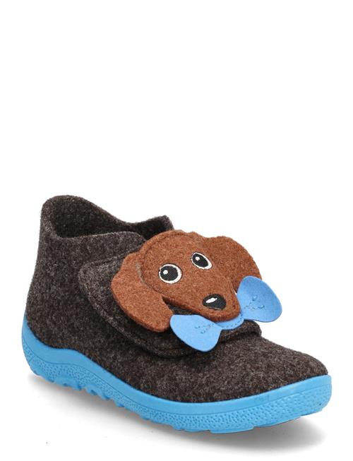 Superfit | Happy Octi | 22/13.7CM