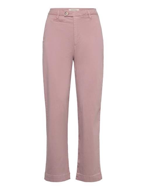 Pieszak | Pd-Anika Support Weekend Chino | 28 x 30