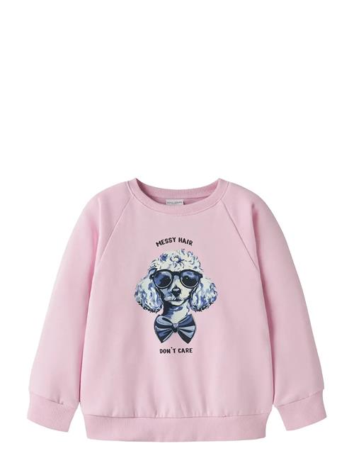 name it | Nmfvenus Ls Nreg Sweat Bru | 104