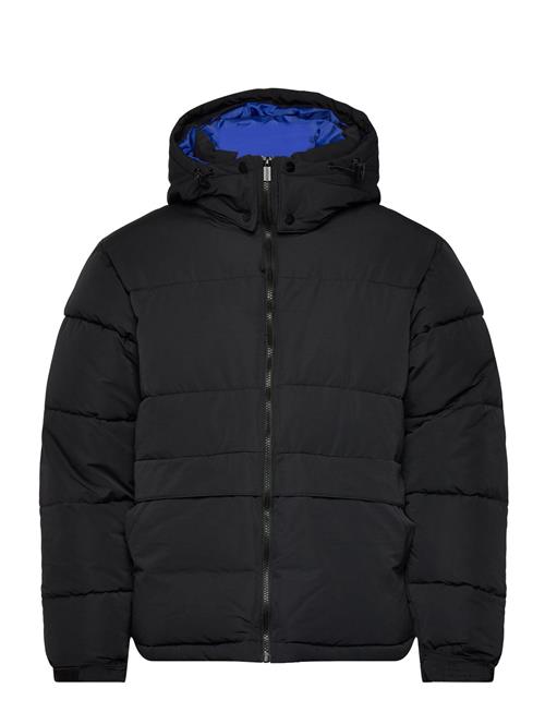 SIXTH JUNE | Essentiel Puff Printed Downjkt | S