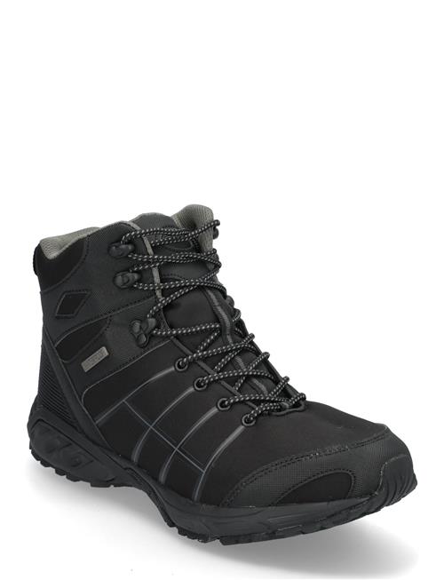 Exani | Capitan Hi M | 41