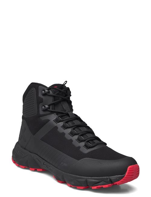 Exani | Cole Hi M | 43