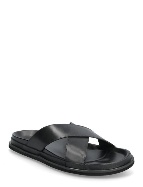 Matinique | Masan | 40