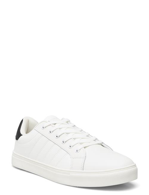 Exani | Percy M | 44