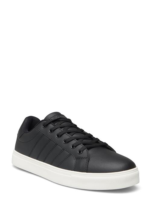 Exani | Percy M | 44