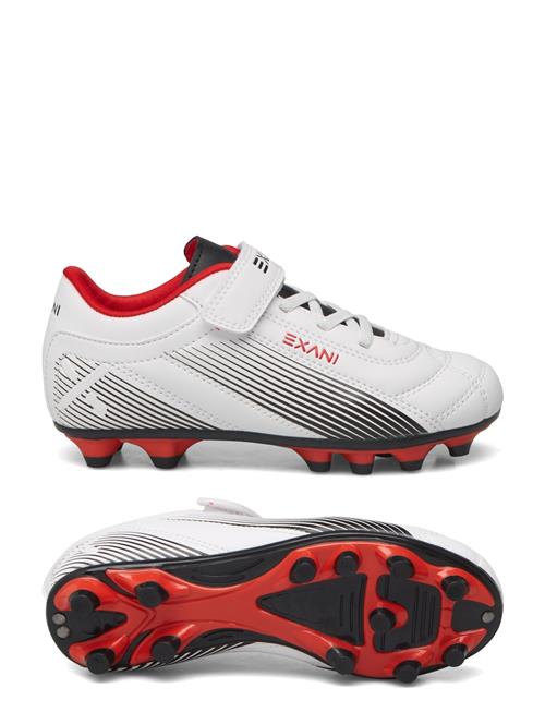 Exani | Matrix Jr | 27