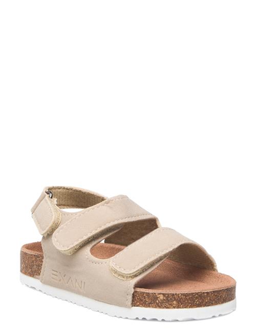 Exani | Spectra K | 27