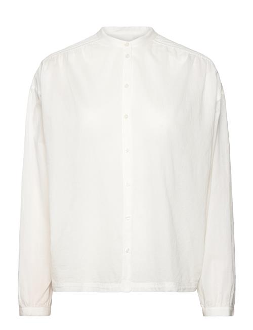 BOSS | C_Bizzan | 36