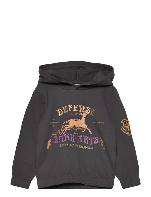 Harry Potter | Sweats | 98