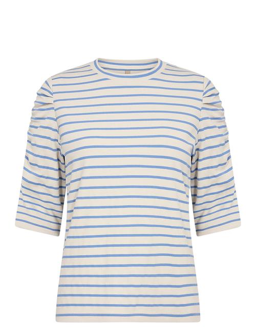 Soyaconcept | Sc-Onie | S