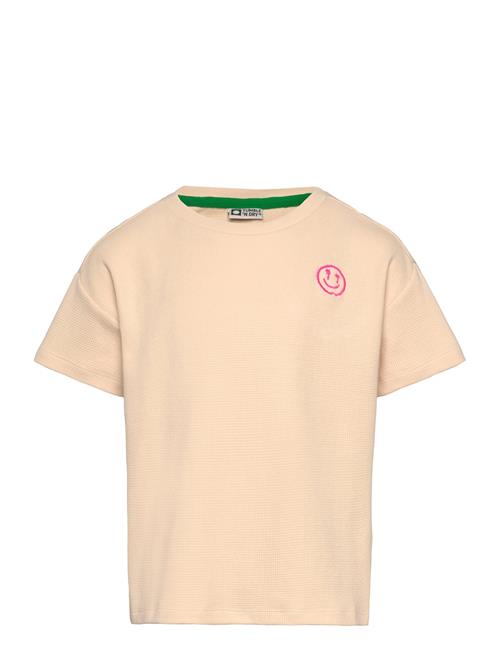 TUMBLE 'N DRY | Tnd Menton | 134/1