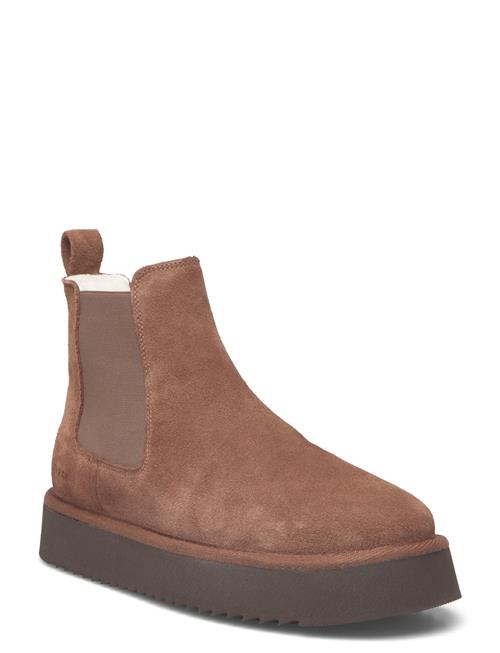 Copenhagen Studios | Cph258 Suede Chocolate | 39