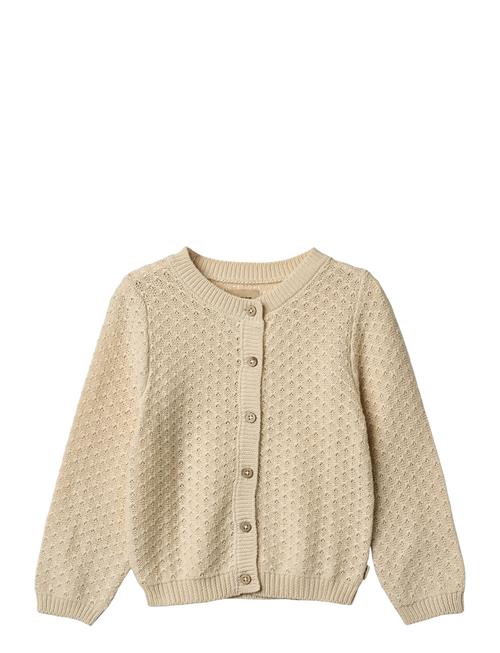 Wheat | Knit Cardigan Magnella | 98